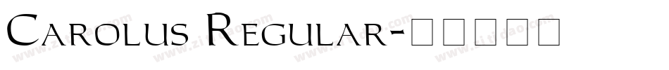Carolus Regular字体转换